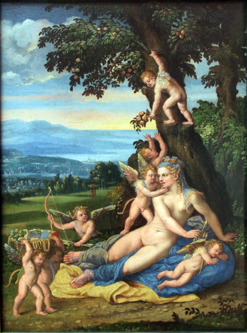 Venüs ve Aşk Tanrısı by Battista Dossi