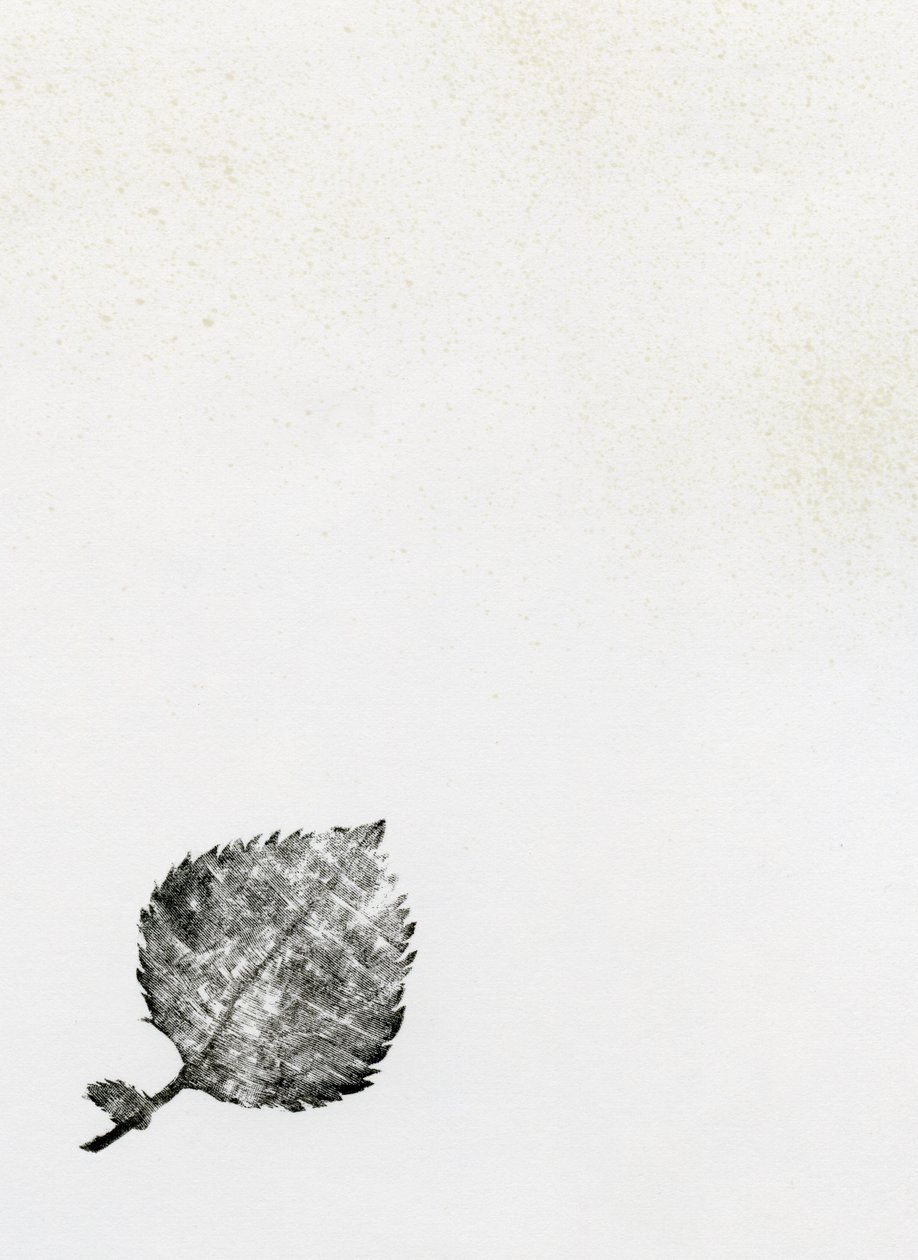 Yaprak {Fay-erie Tozu}, 2014 (ahşap gravür ve kağıt üzerine mürekkep) by Bella Larsson
