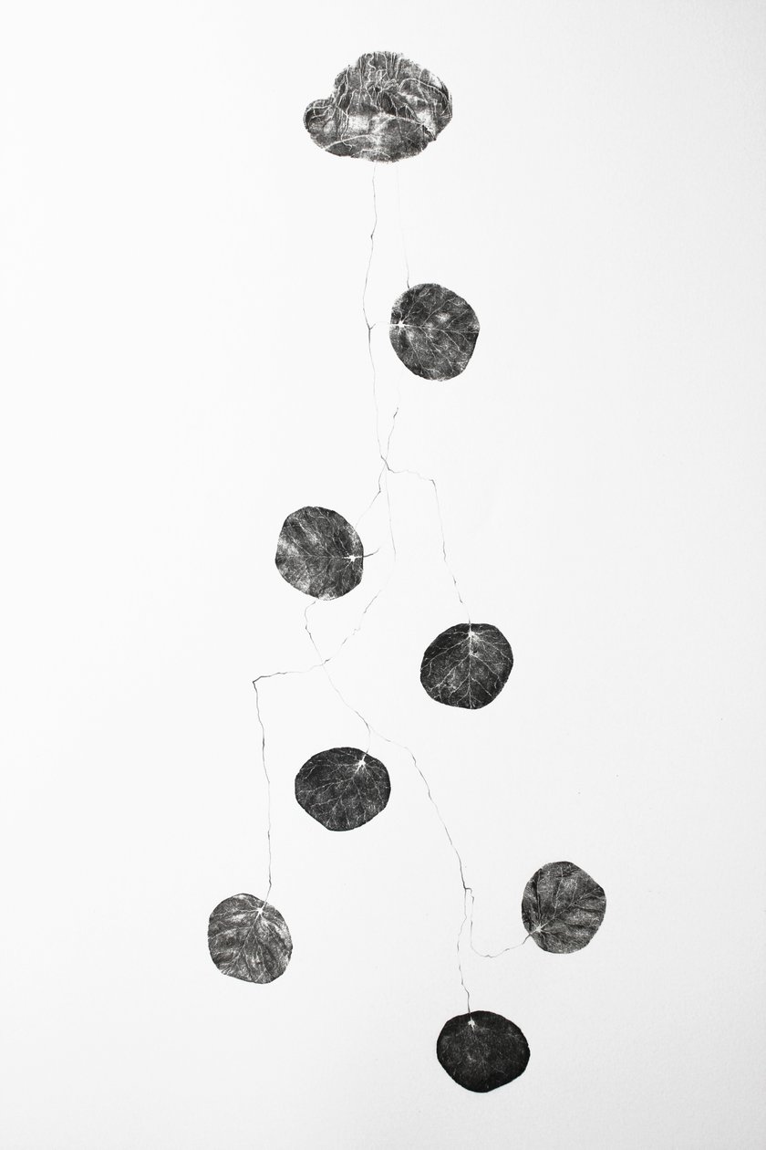 Damar, 2014 (ahşap oyma kolajı ve kağıt üzerine karakalem) by Bella Larsson