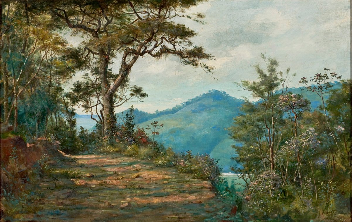 LandscapenPortugues: Matan serisinden manzara by Benedito Calixto