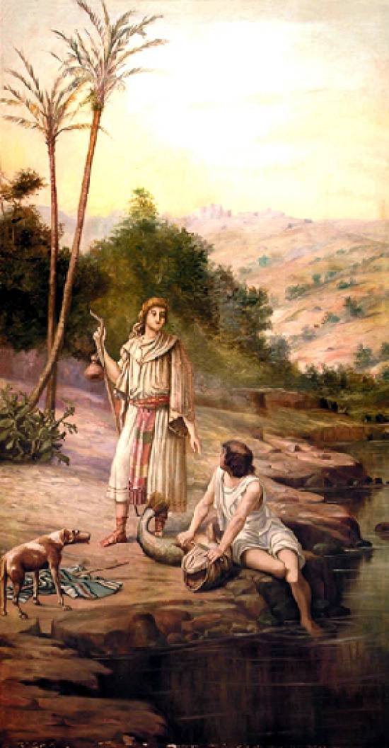 Tobias ve balıkçılık Portekiz: Tobias e o Anjon by Benedito Calixto