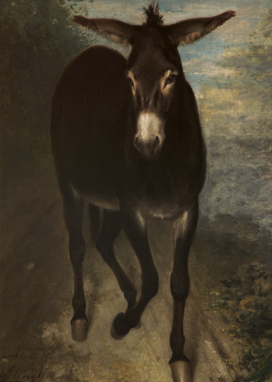 Sicilyalı bir eşek by Benjamin Haydon
