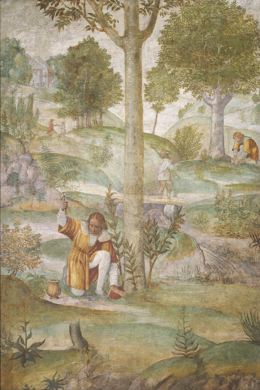 Cephalus'un Mücevherleri Saklaması, c. 15201522. by Bernardino Luini