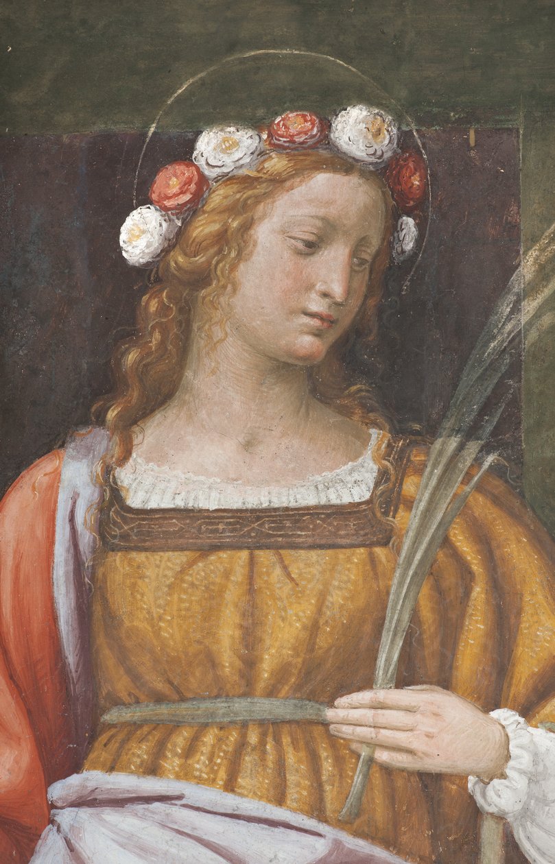 Aziz Gül (3497195 detayı) by Bernardino Luini