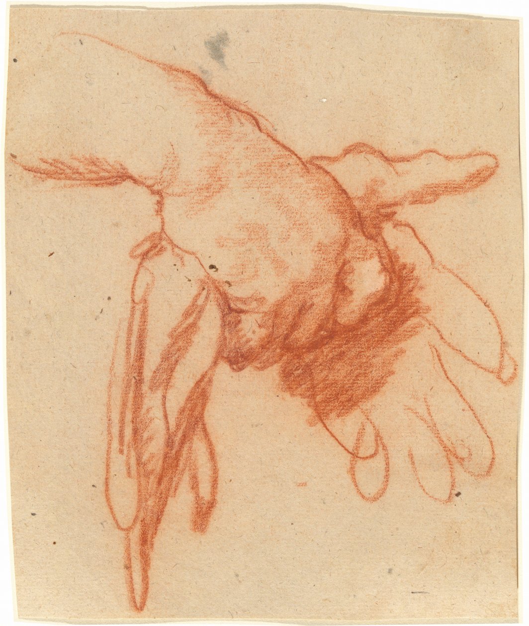 Boş Eldiven Tutan Bir El by Bernardo Strozzi
