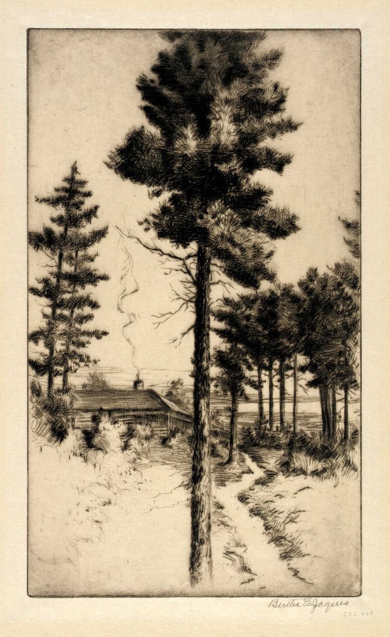  by Bertha E. Jaques