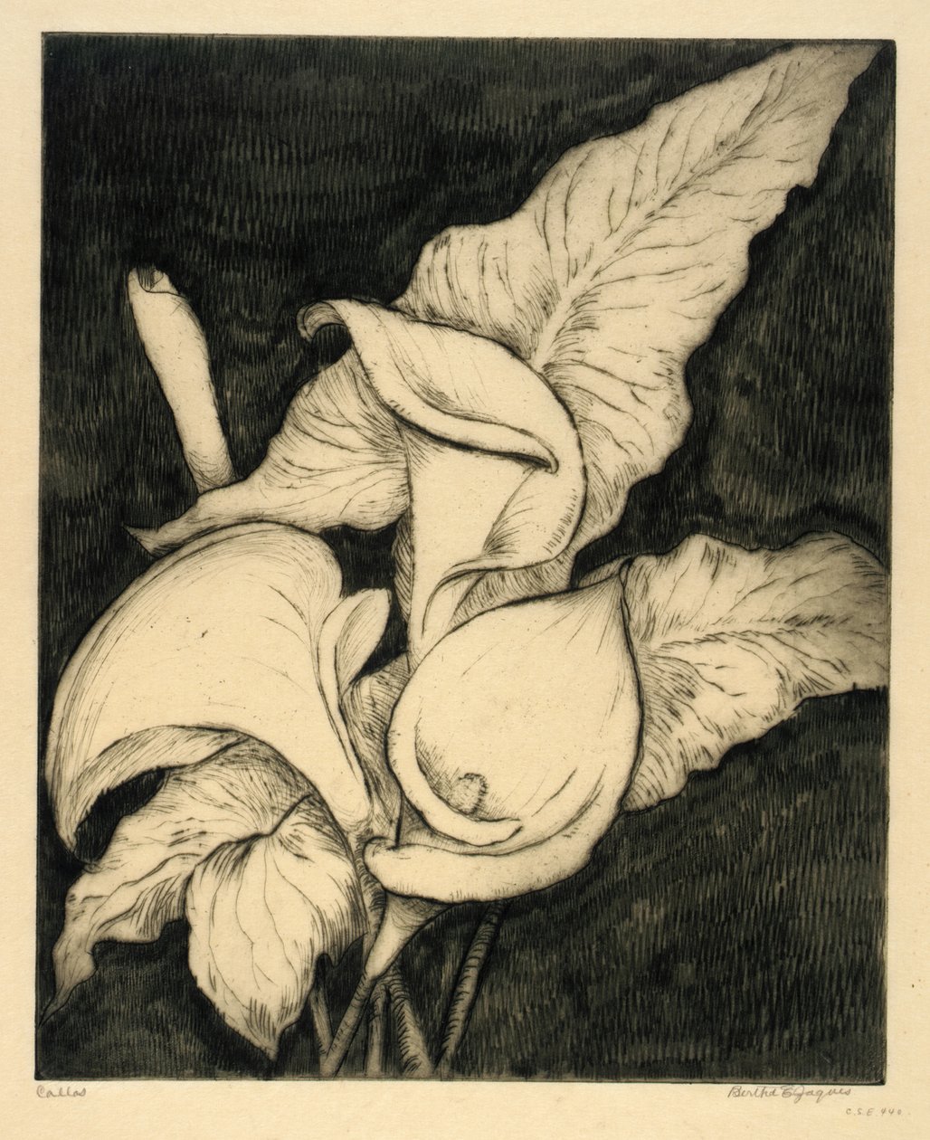  by Bertha E. Jaques