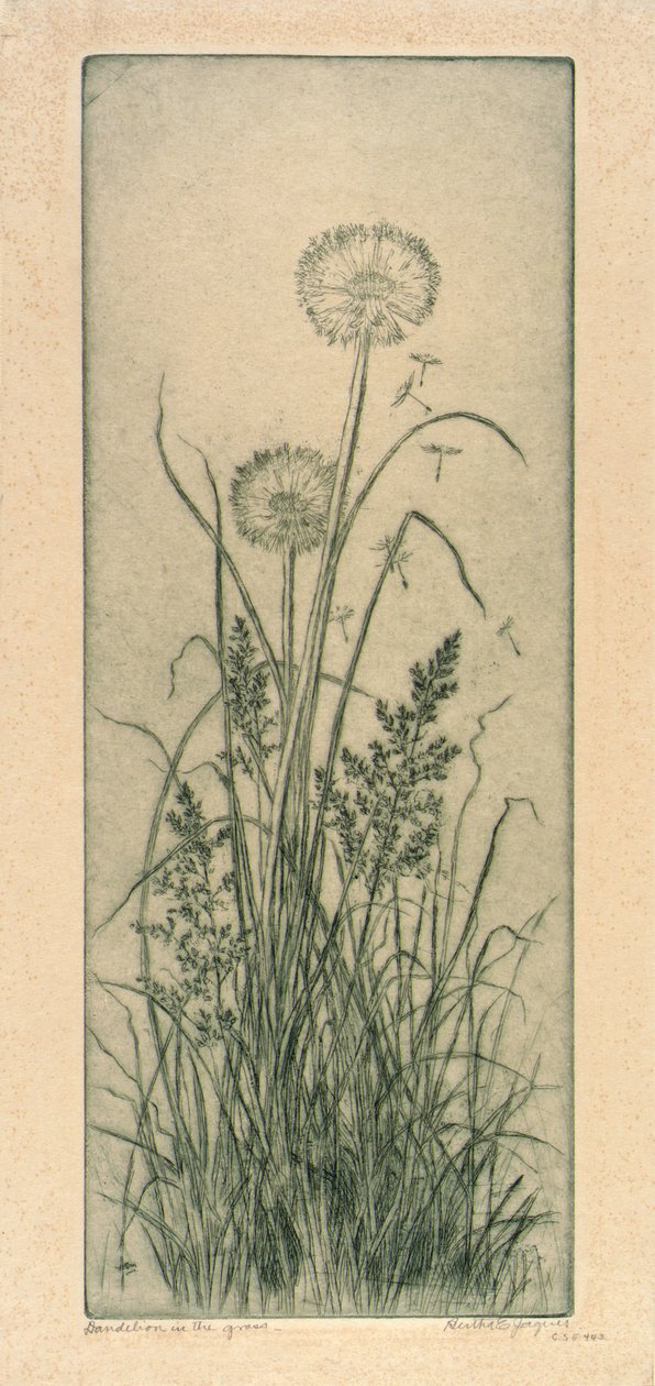  by Bertha E. Jaques