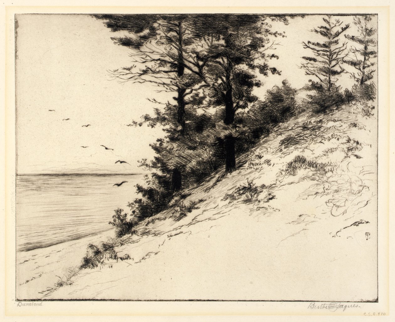  by Bertha E. Jaques