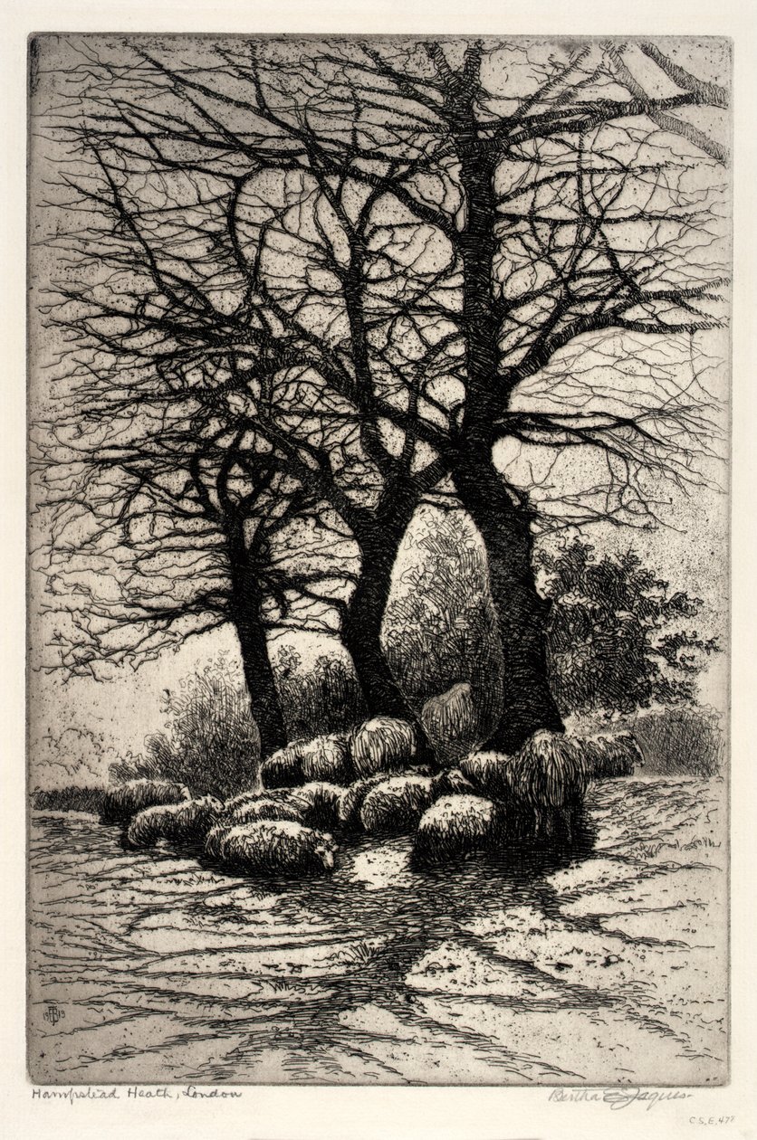  by Bertha E. Jaques