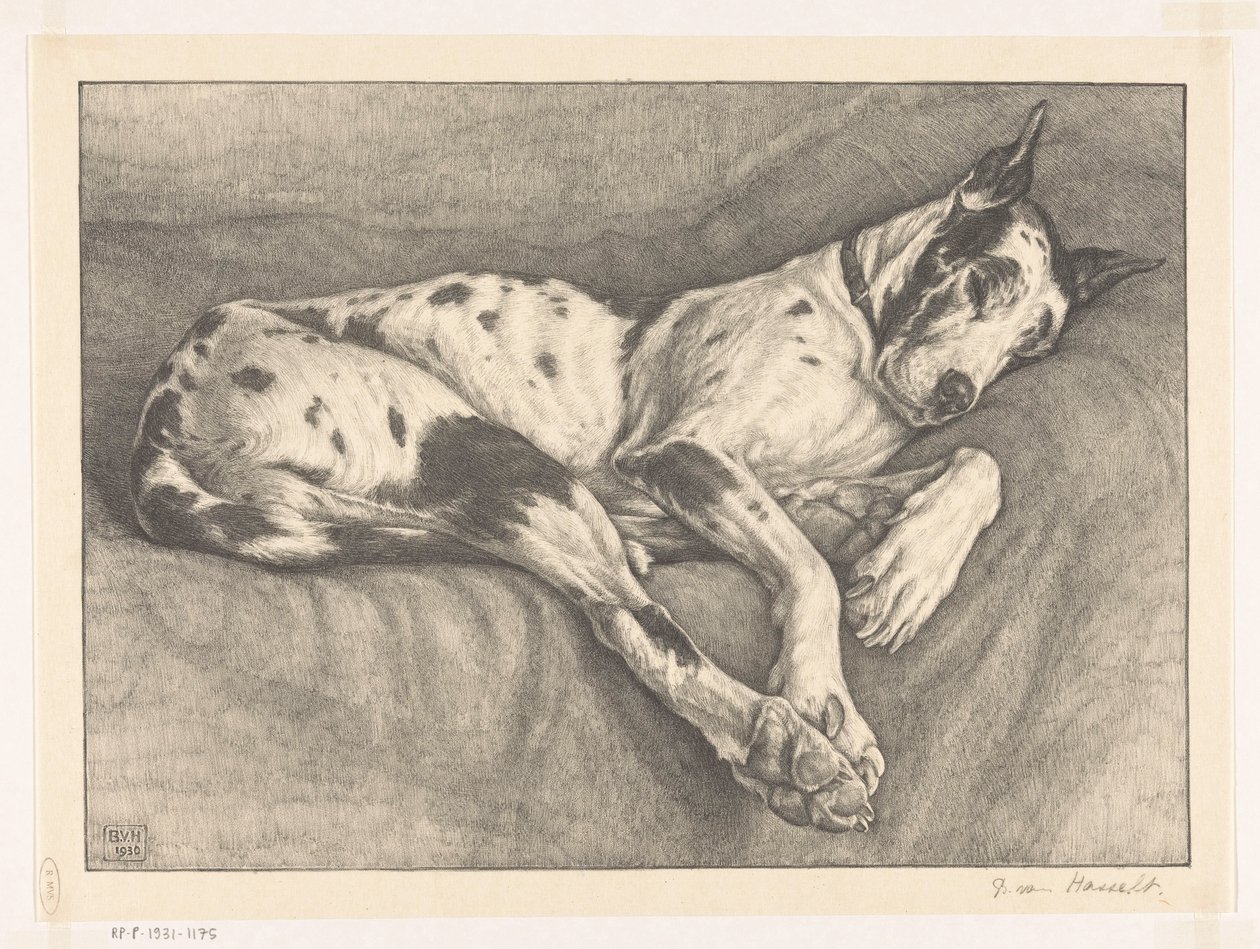 Uyuyan köpek by Bertha van Hasselt (signed by artist)
