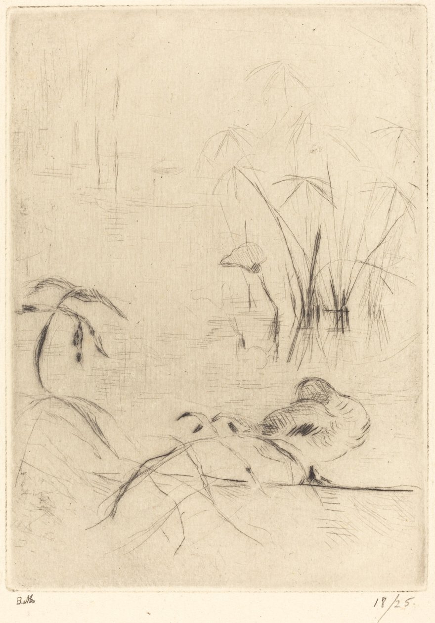 Bankada Dinlenen Ördekler by Berthe Morisot