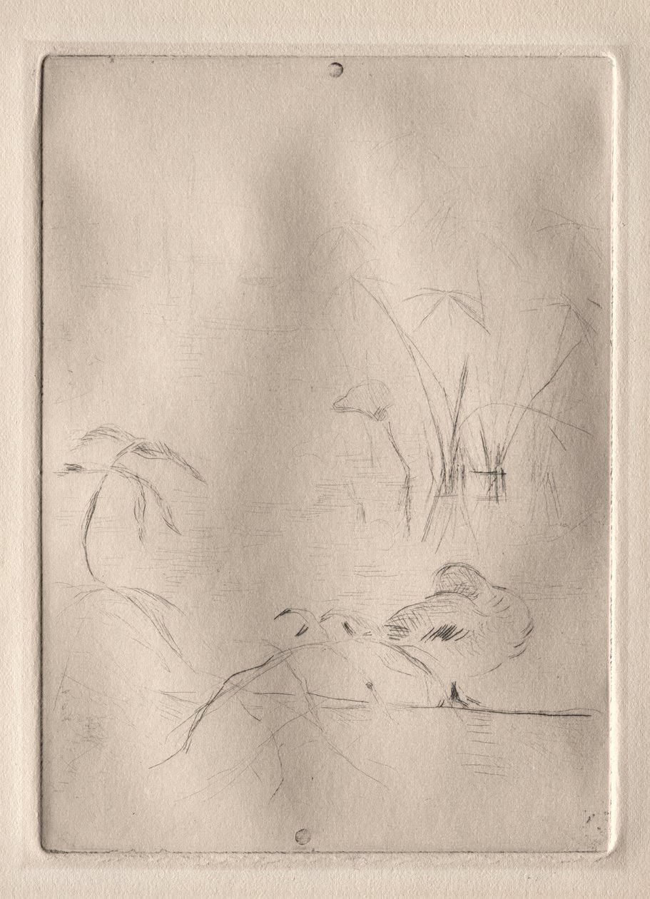 Ördek by Berthe Morisot