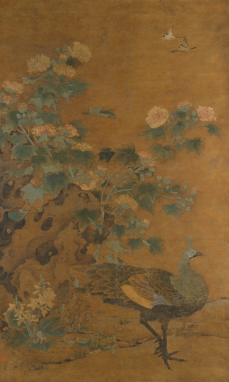 Tavus kuşu ve Hollyhocks, 14. yüzyılın ortalarında. by Bian Lu