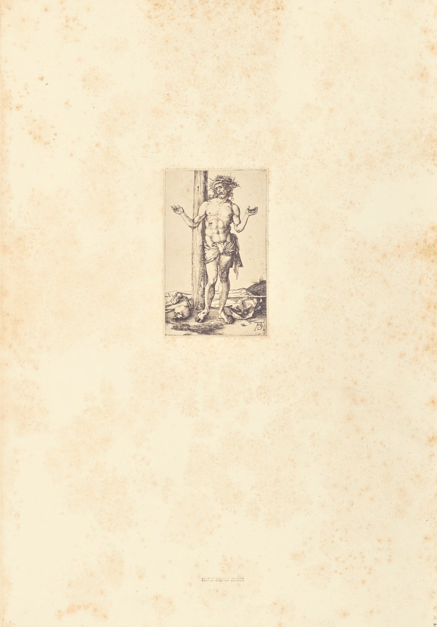  by Bisson Frères