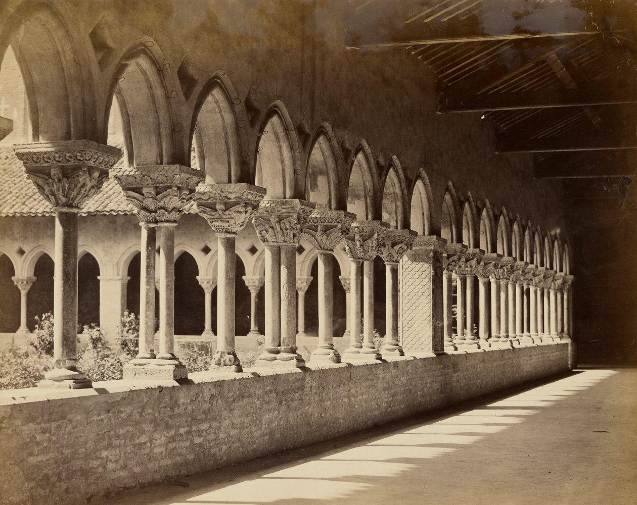  by Bisson Frères