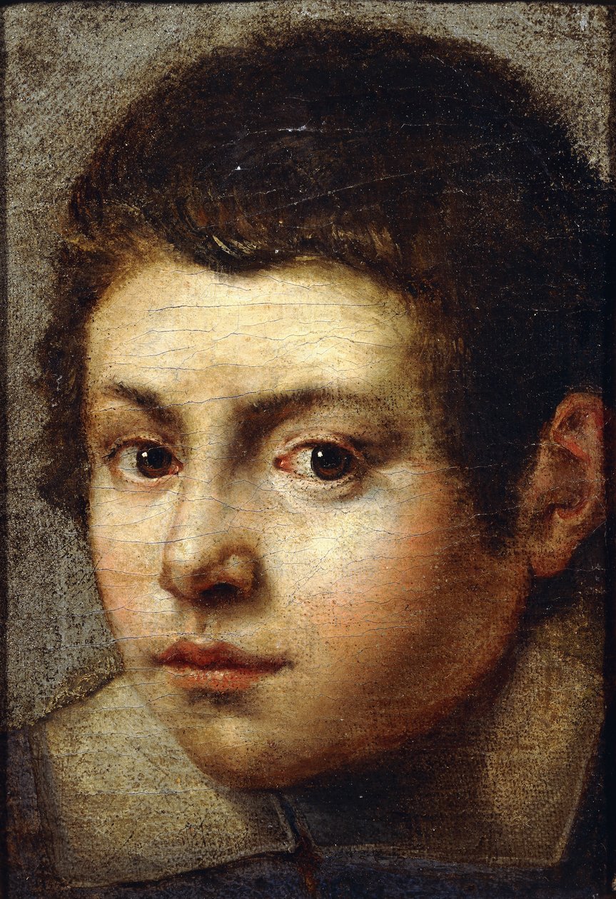 Genç Bir Çocuğun Başkanı, by Bolognese School