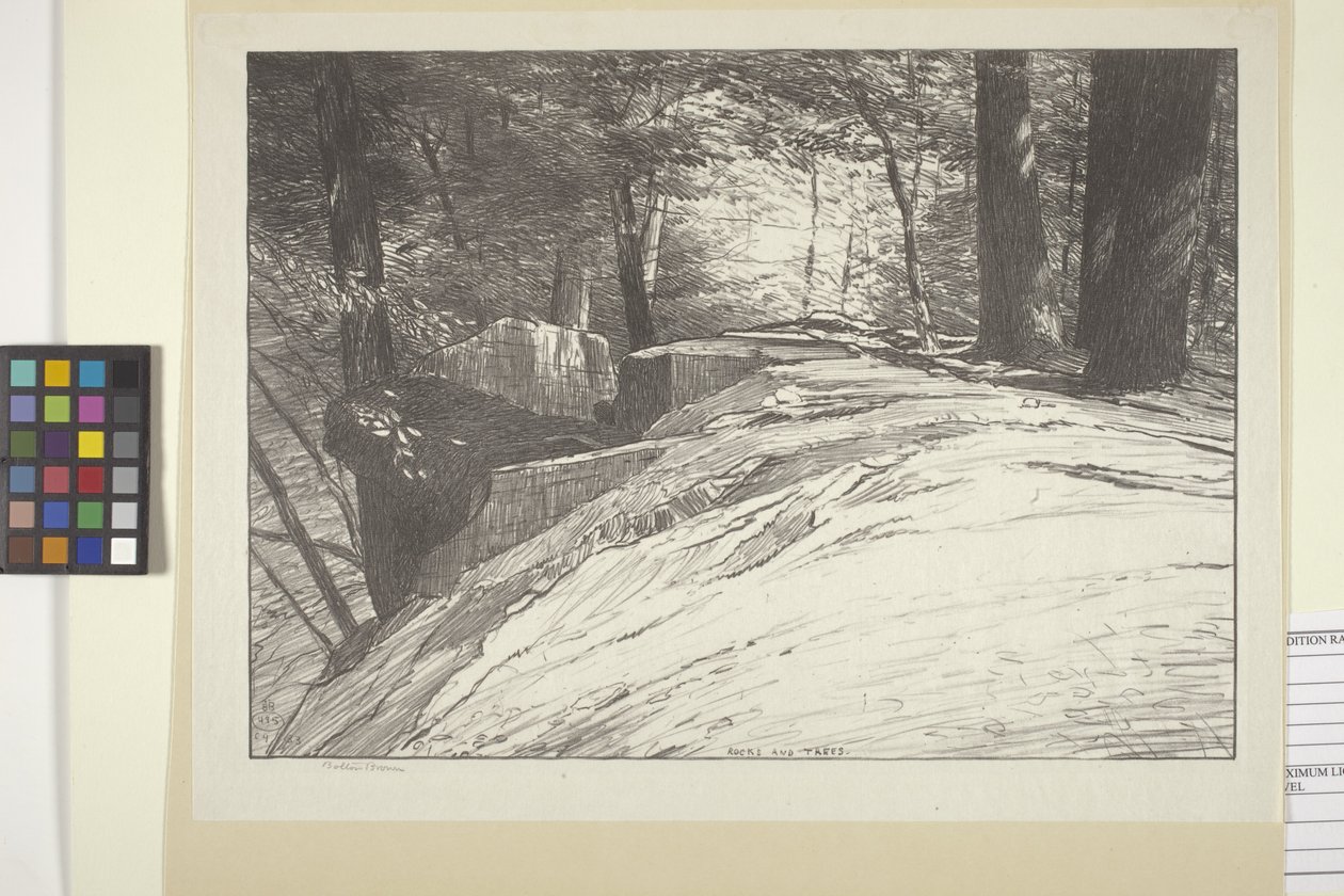 Kayalar ve Ağaçlar (kağıt üzerine mürekkep) by Bolton Coit Brown