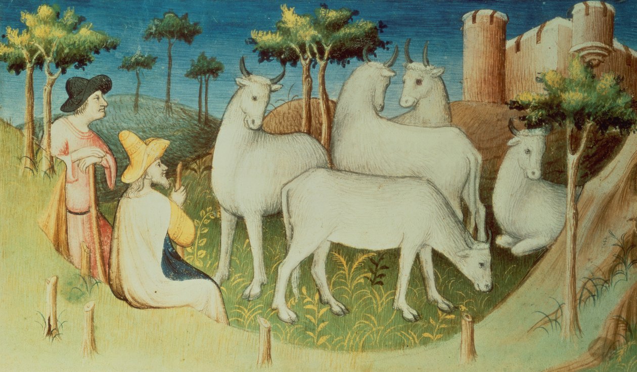 Bayan Fr 2810 f.13v, Marco Polo, seyahatlerinde, 