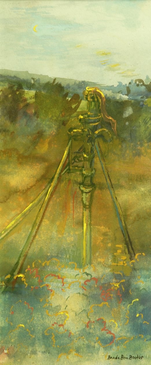 Bahçe Pompası by Brenda Brin Booker