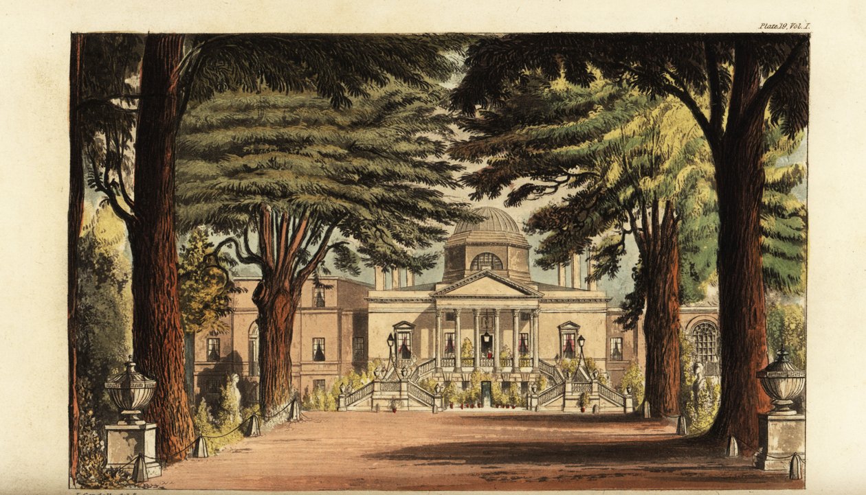 Chiswick Evi by British School