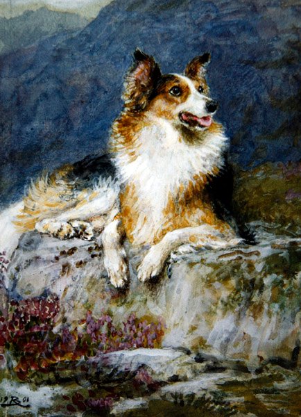 Bir manzarada Collie by Briton Riviere