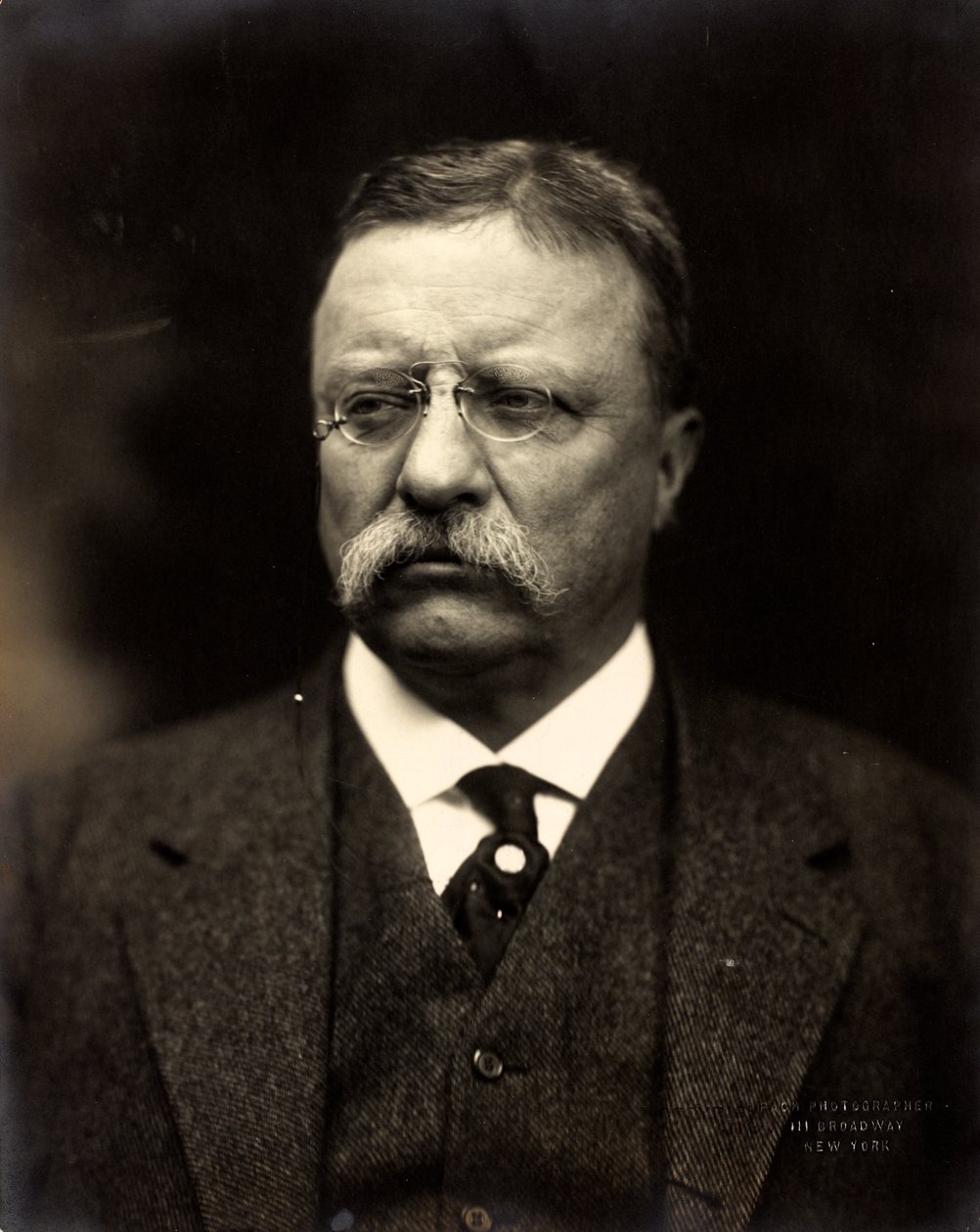 Theodore Roosevelt, c.1915 (s/b fotoğraf) by Brothers Pach
