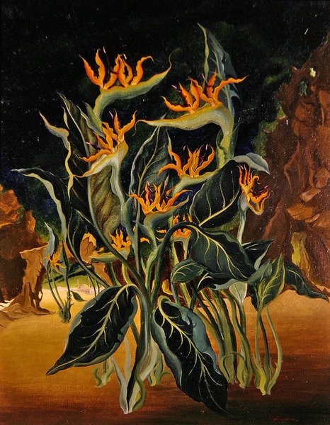 Garip Çiçekler (tuval üzerine yağlı boya) by Bruce Hollingsworth