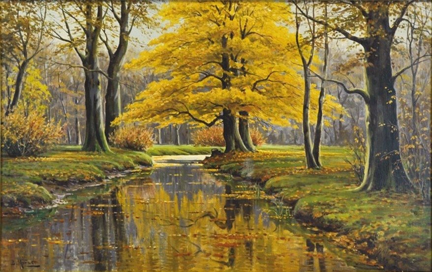  Herbstwald mit BachlaufnDeutsch: Herbstwald mit Fluzulaufn by Bruno Moras
