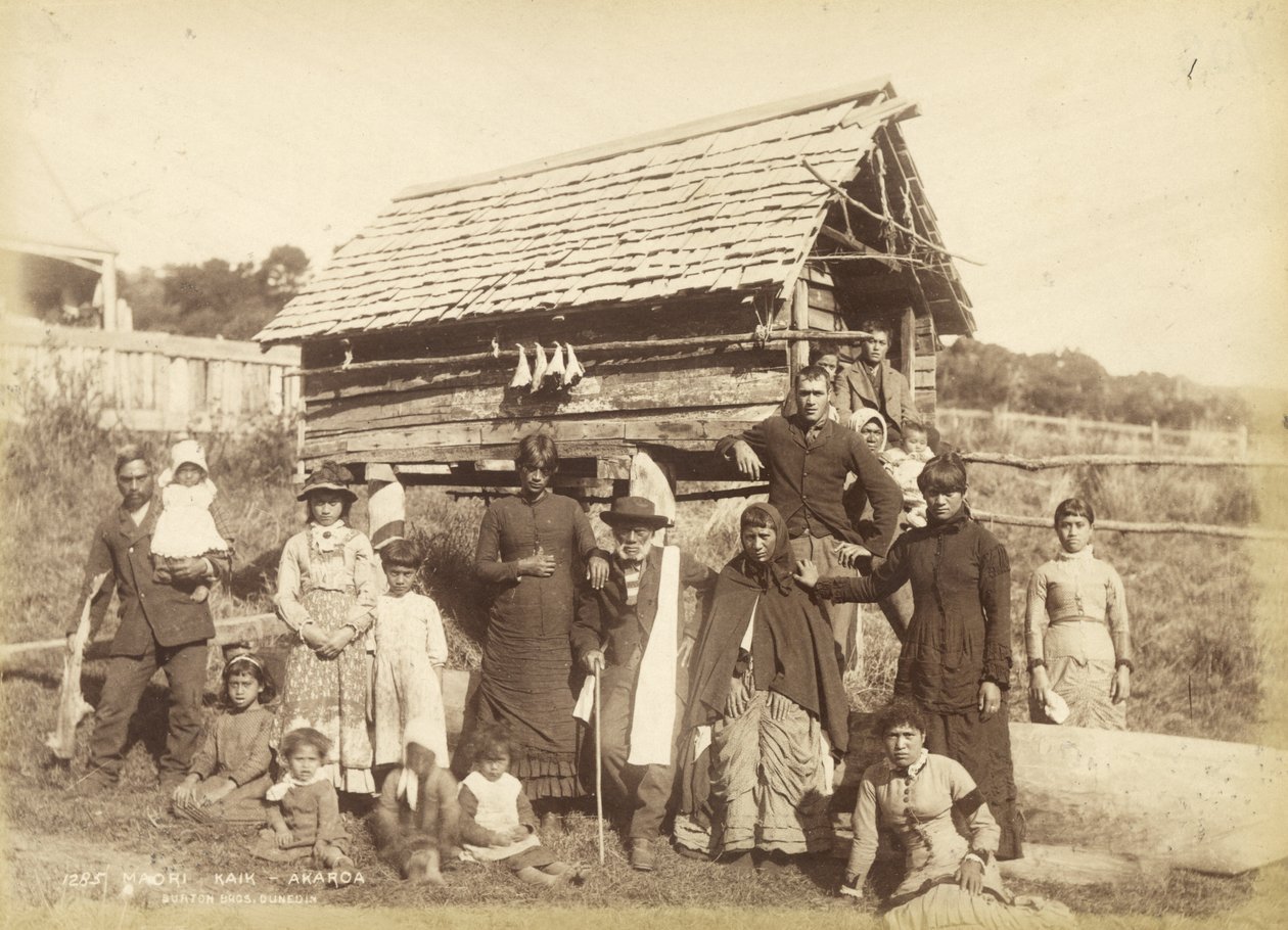 Maori Kaik - Akoroa, 1884 dolayları (albüm baskısı) by Burton Brothers Studio