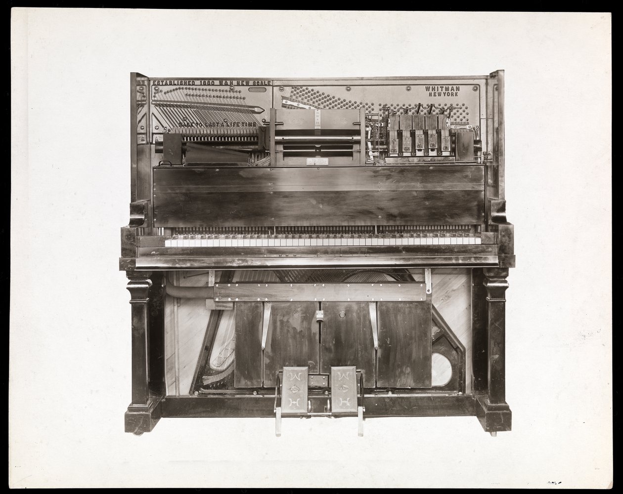 Bir oyuncu piyano, 1915-16 (gümüş jelatin baskı) by Byron Company