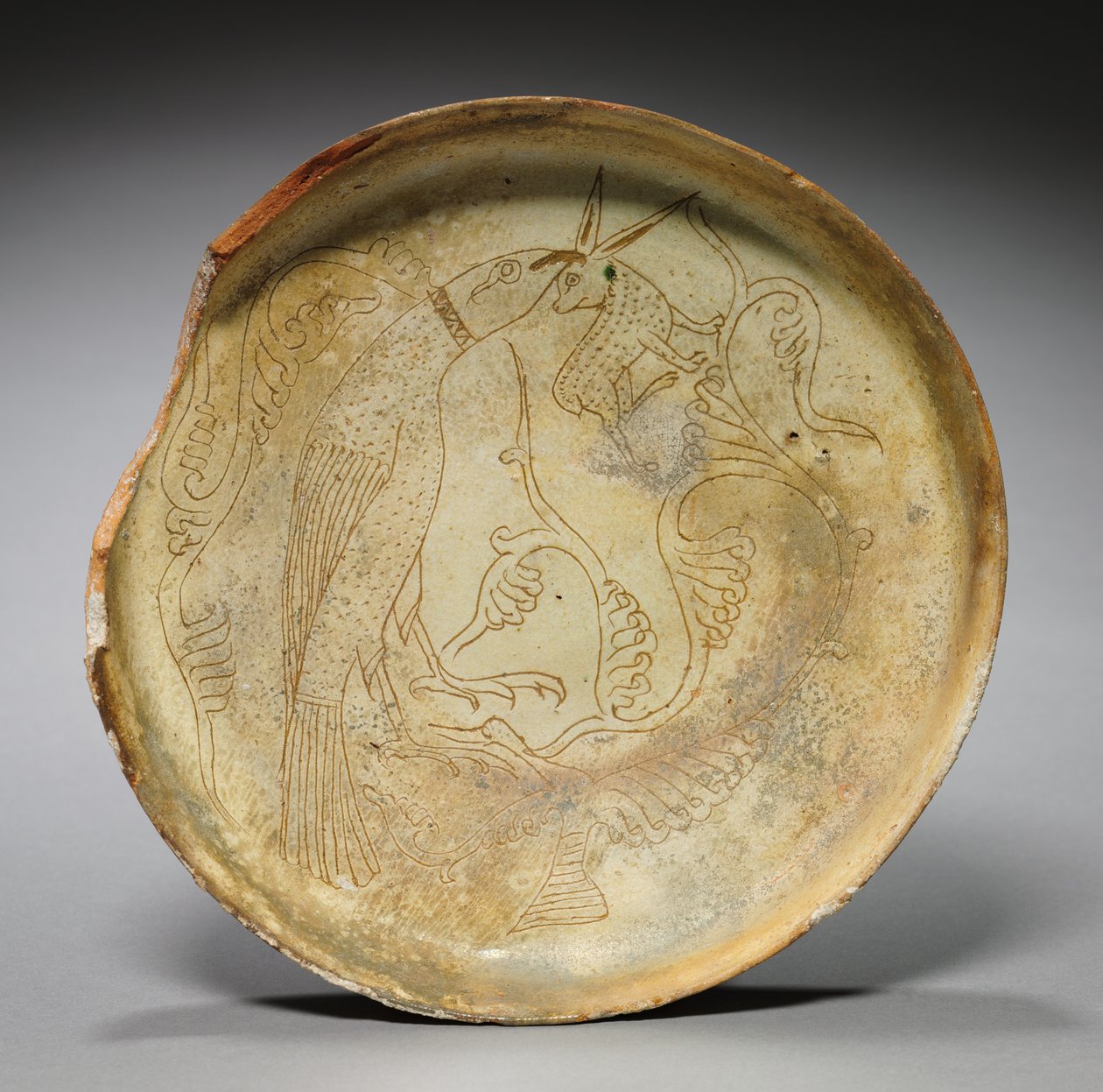 Şahin, Tavşan ve Yapraklı Derin Tabak, 1100