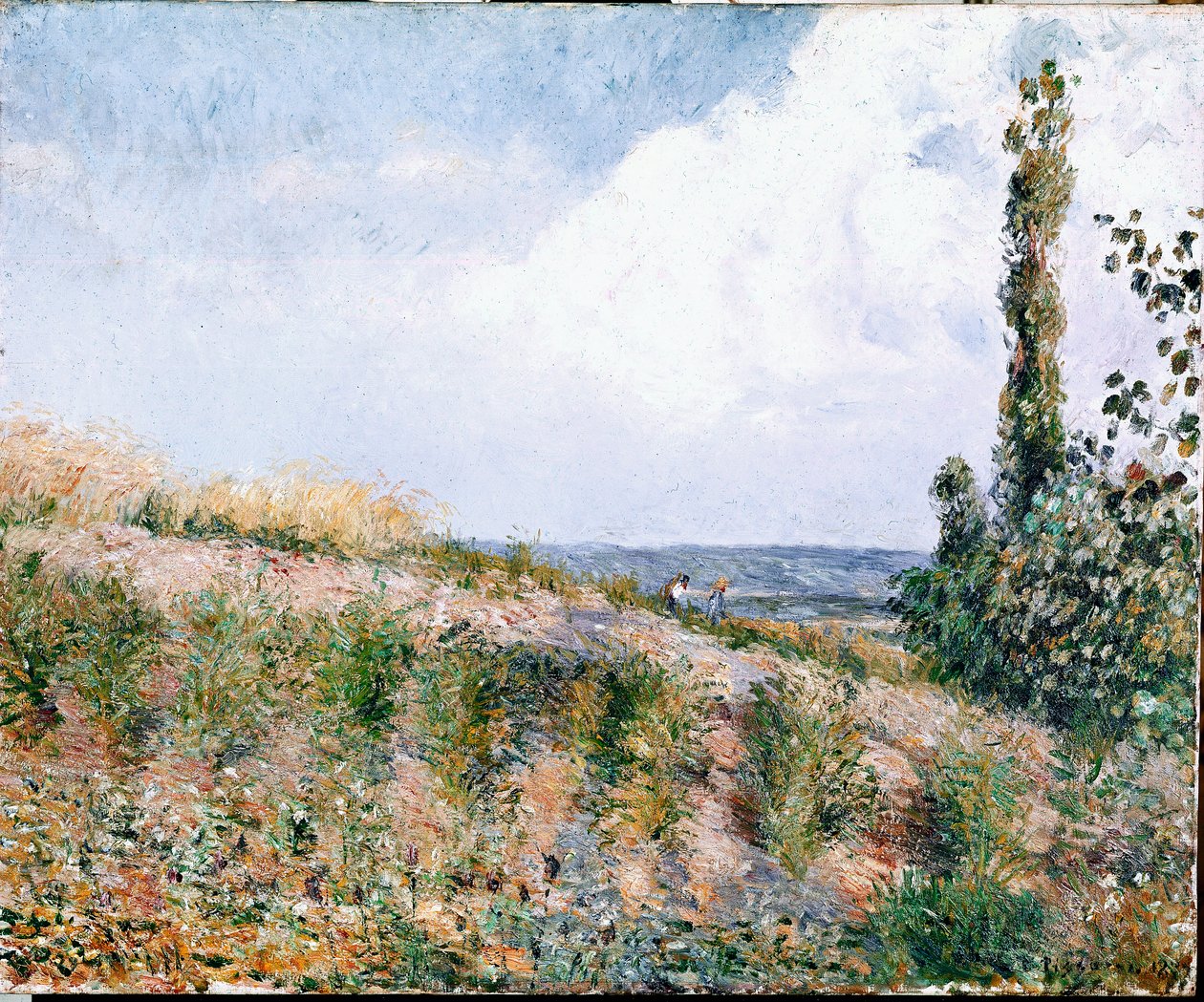 Manzara (tuval üzerine yağlı boya) by Camille Jacob Pissarro