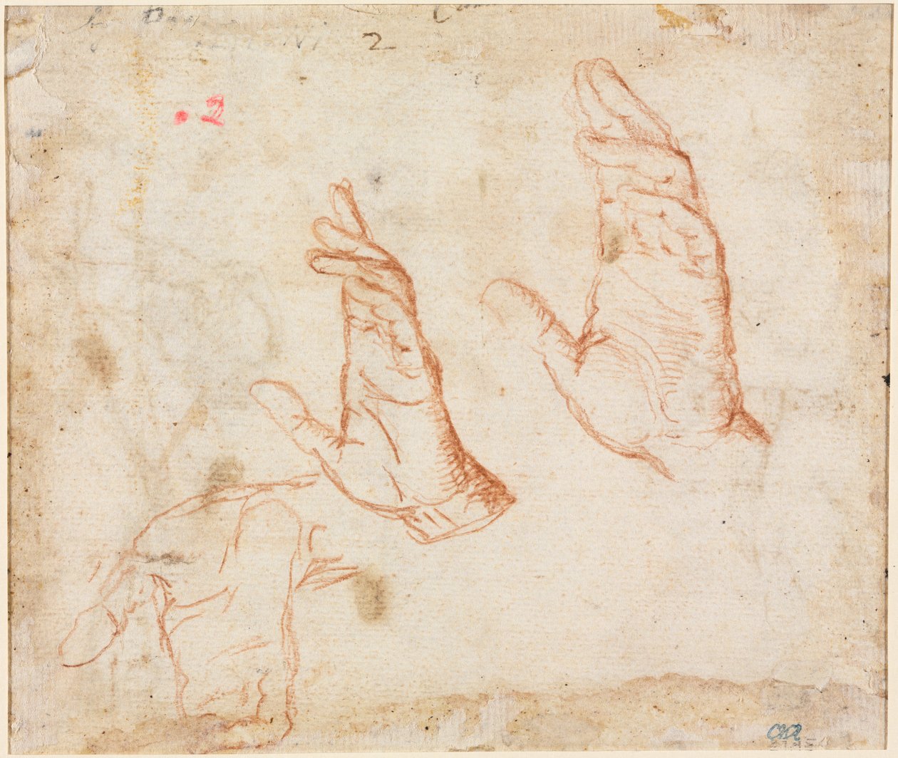 Ellerin Çalışması verso, c. 1590. by Camillo Procaccini