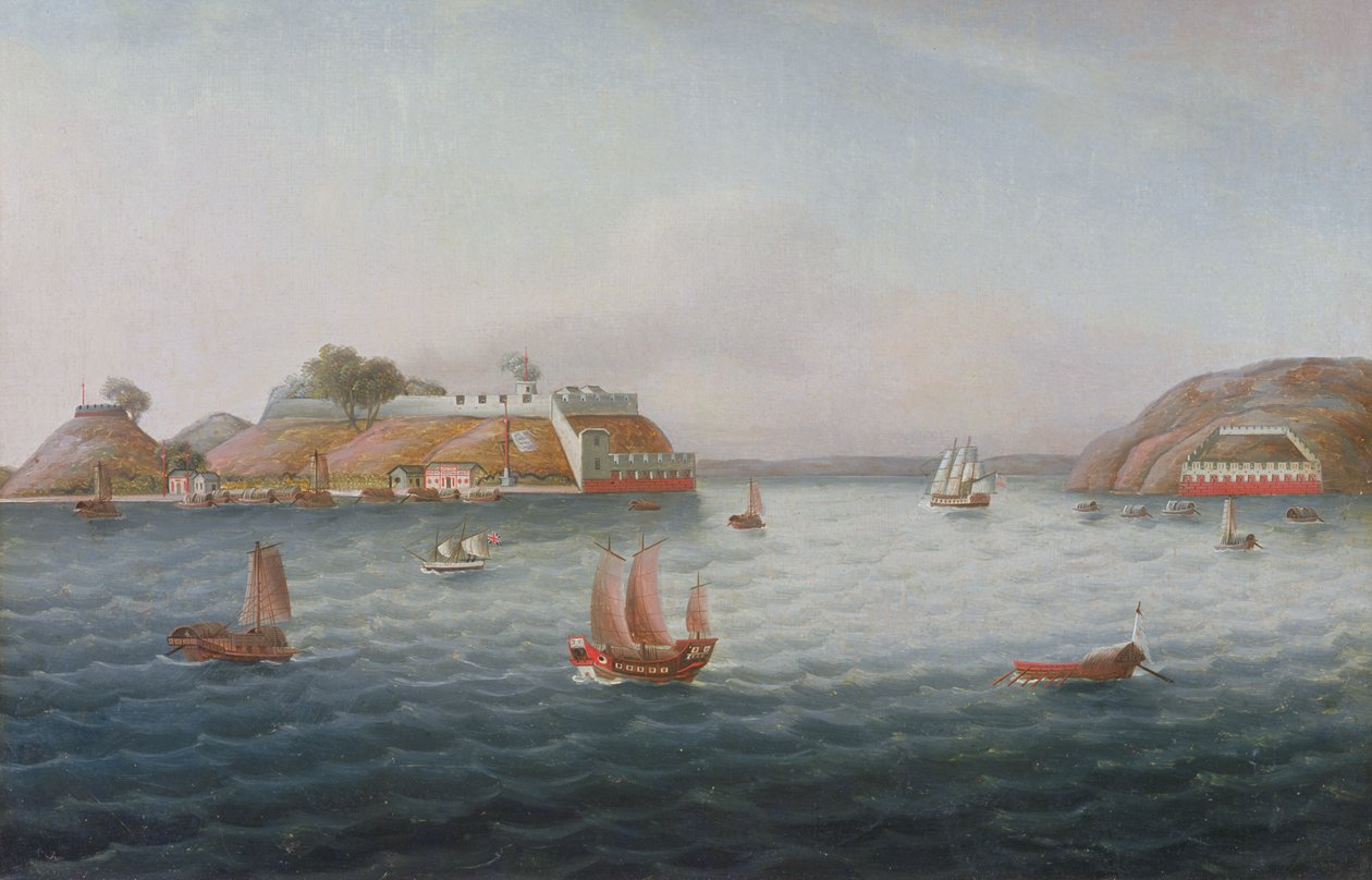 Kaplanlar Ağız by Cantonese School