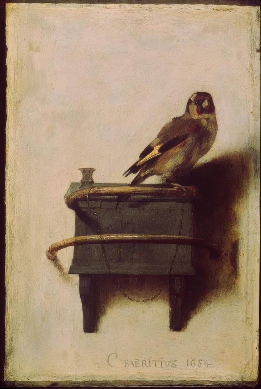 saka kuşu (saka kuşu, saka kuşu) by Carel Fabritius