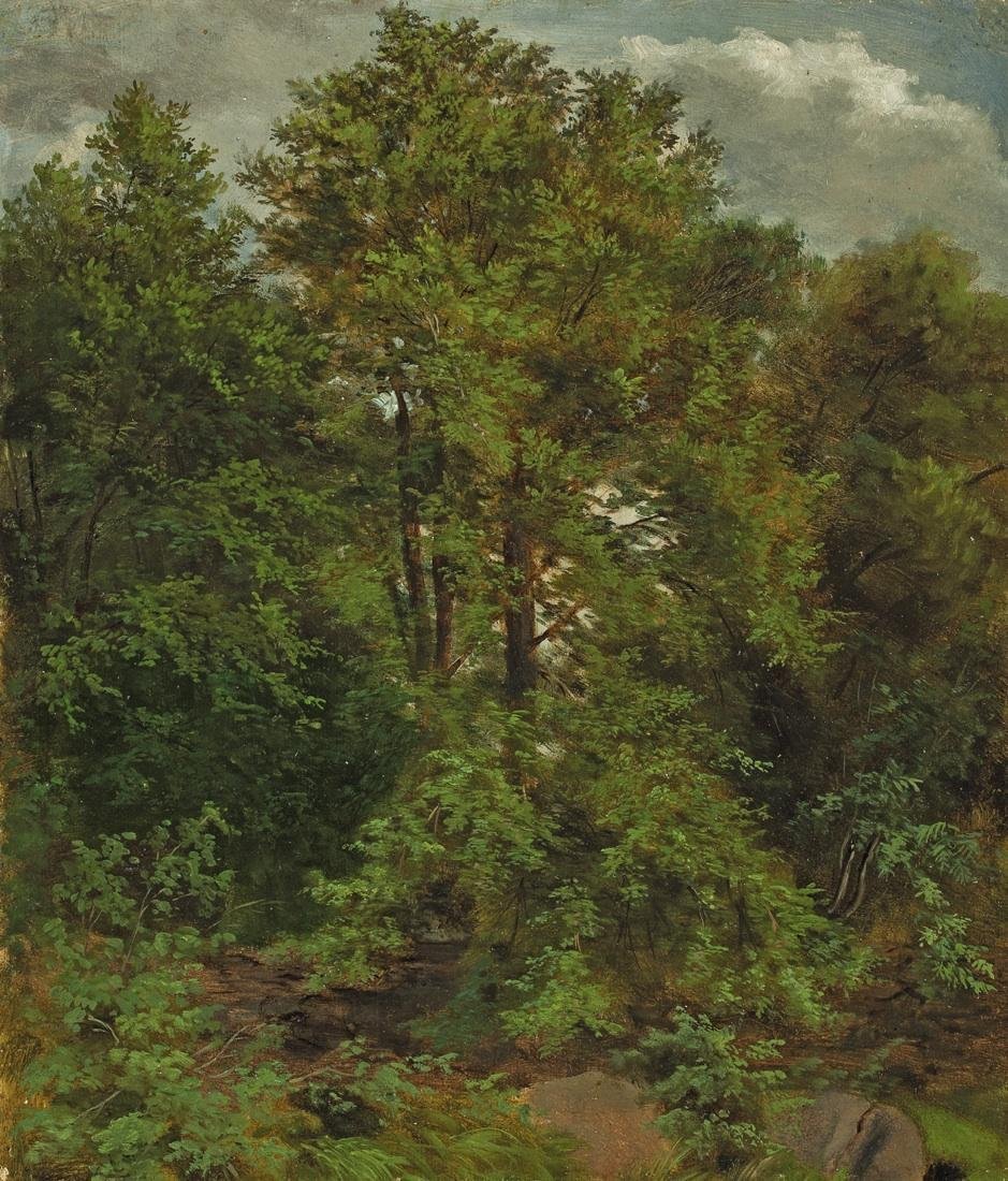 Pillnitz Elbe adasından motif by Carl Gustav Carus