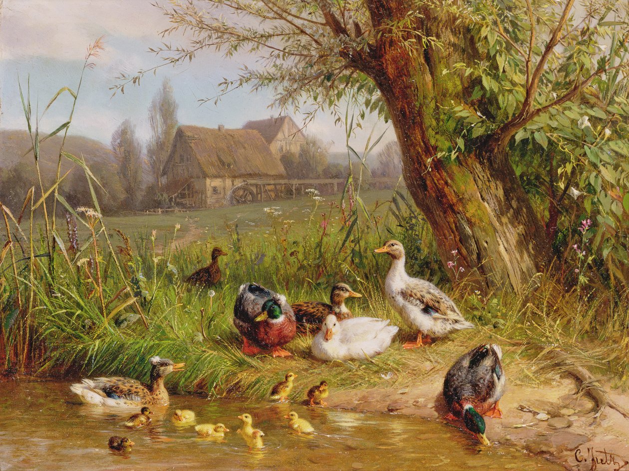 Ördek Yavruları ile Yeşilbaş Ördekler by Carl Jutz