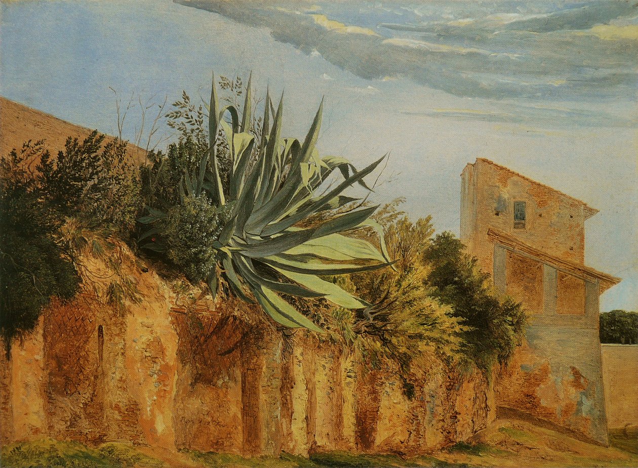 Roma Francais şehir duvarında: Agave sur un mur de Romen by Carl Wagner