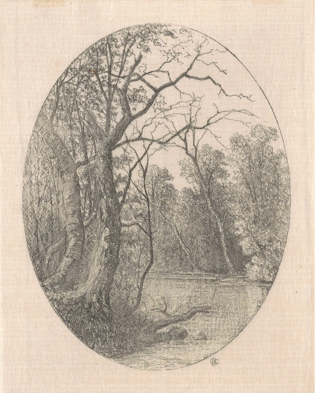 Laurel Creek