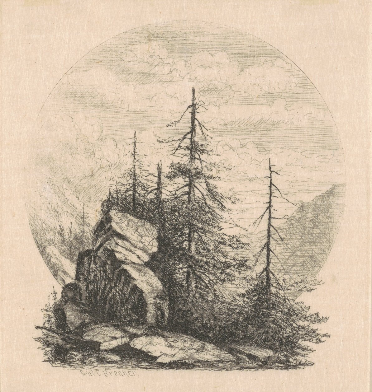 Çamlar by Carl C. Brenner