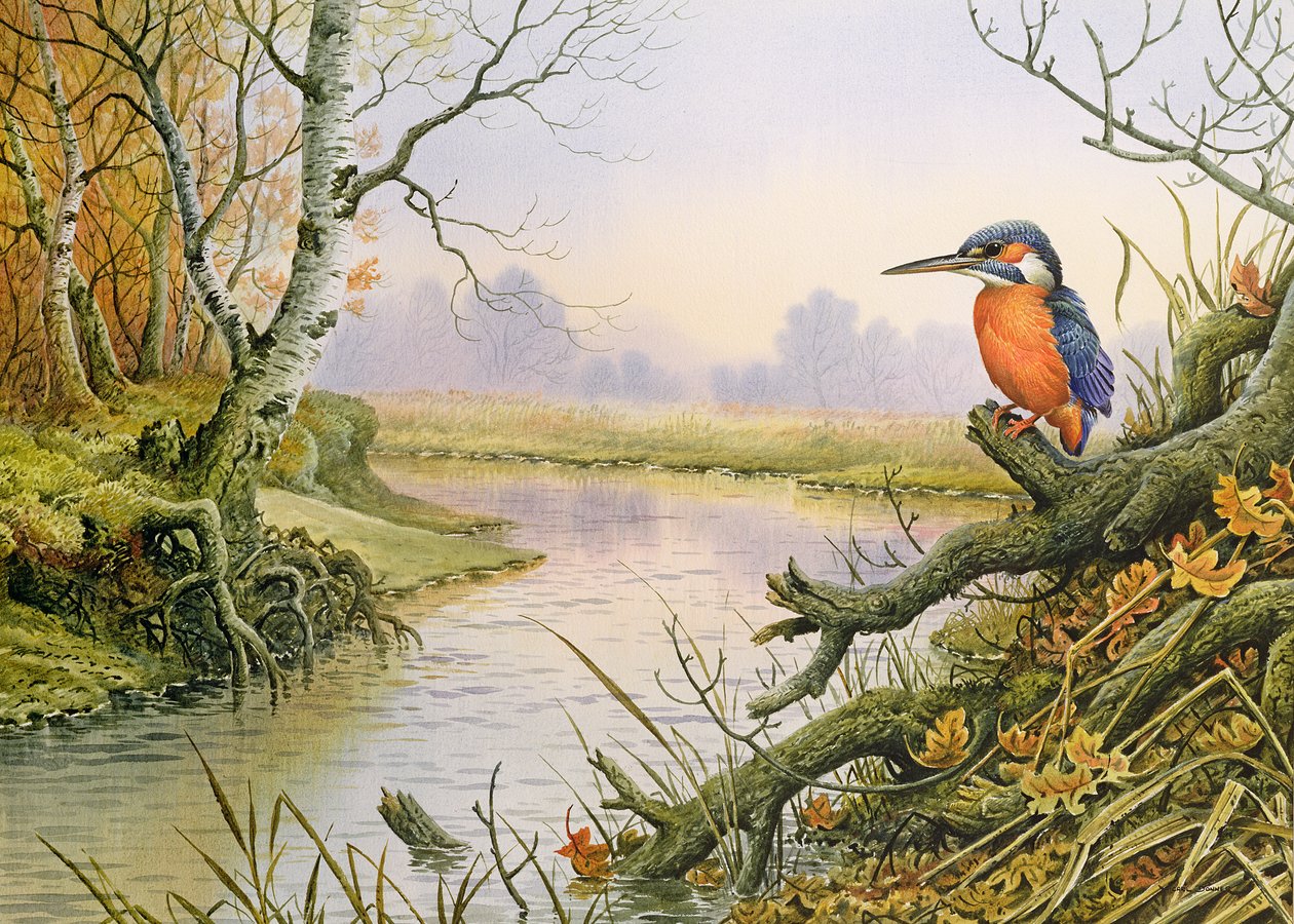 Kingfisher: Sonbahar Nehir Sahnesi by Carl Donner