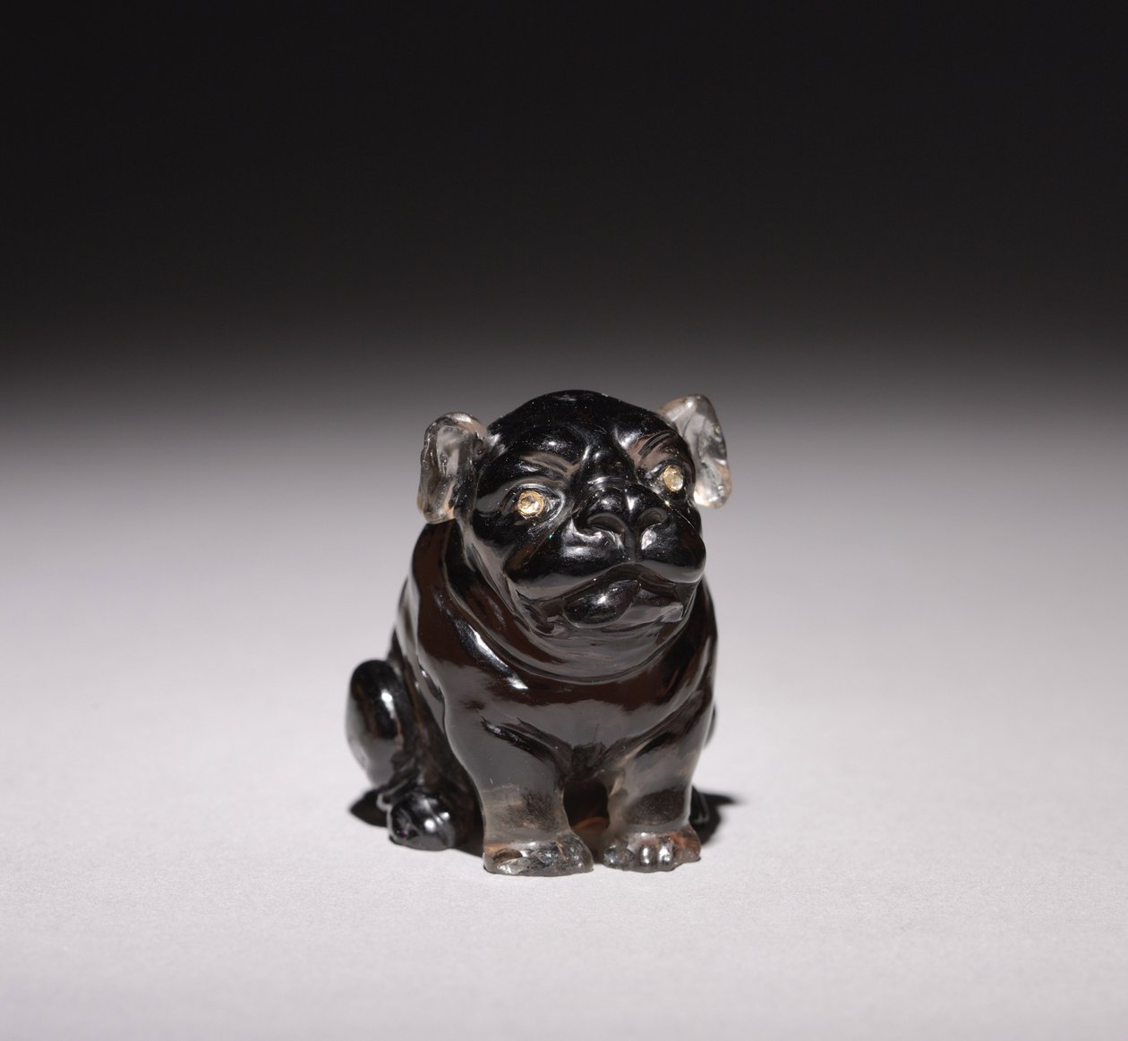 Bulldog, 1800