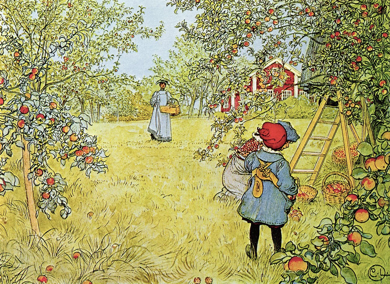 elma hasadı by Carl Larsson