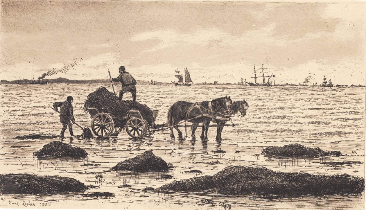 Çiftçiler deniz yosunu kullanıyor by Carl Locher
