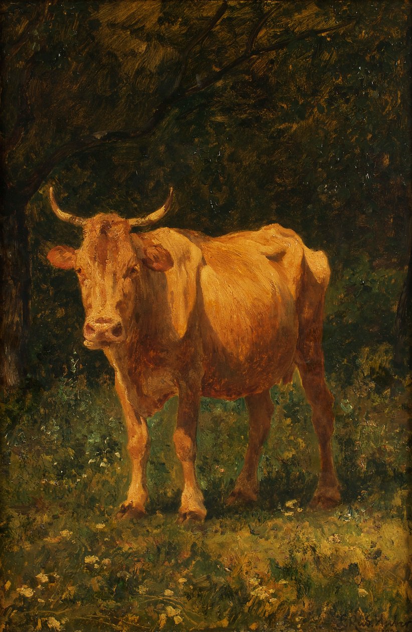 ekmek rengi inek by Carl Rudolf Huber