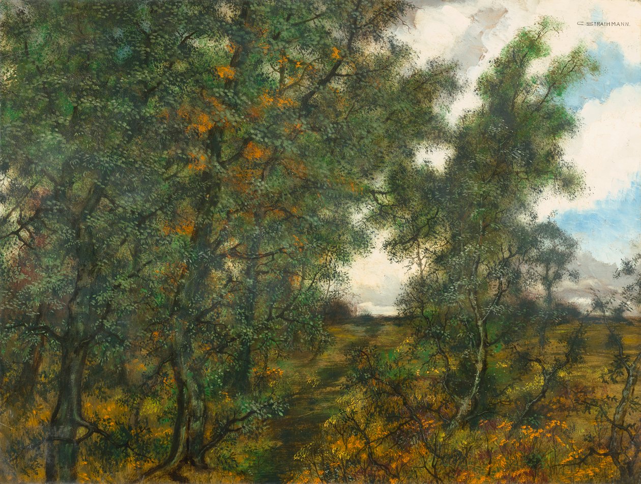 Ormanın kenarında by Carl Strathmann