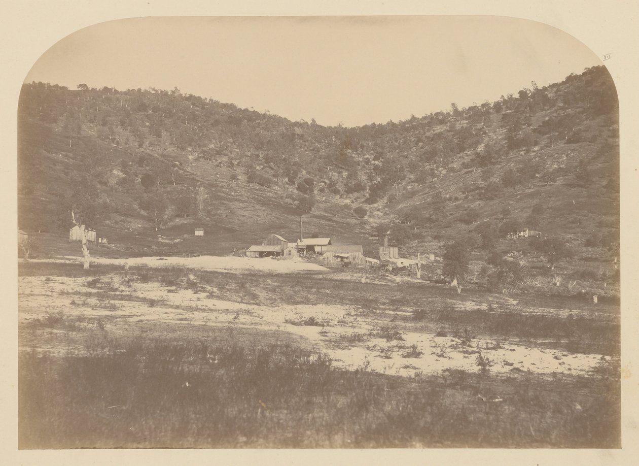 (Ayı Vadisi Değirmeni) by Carleton E. Watkins