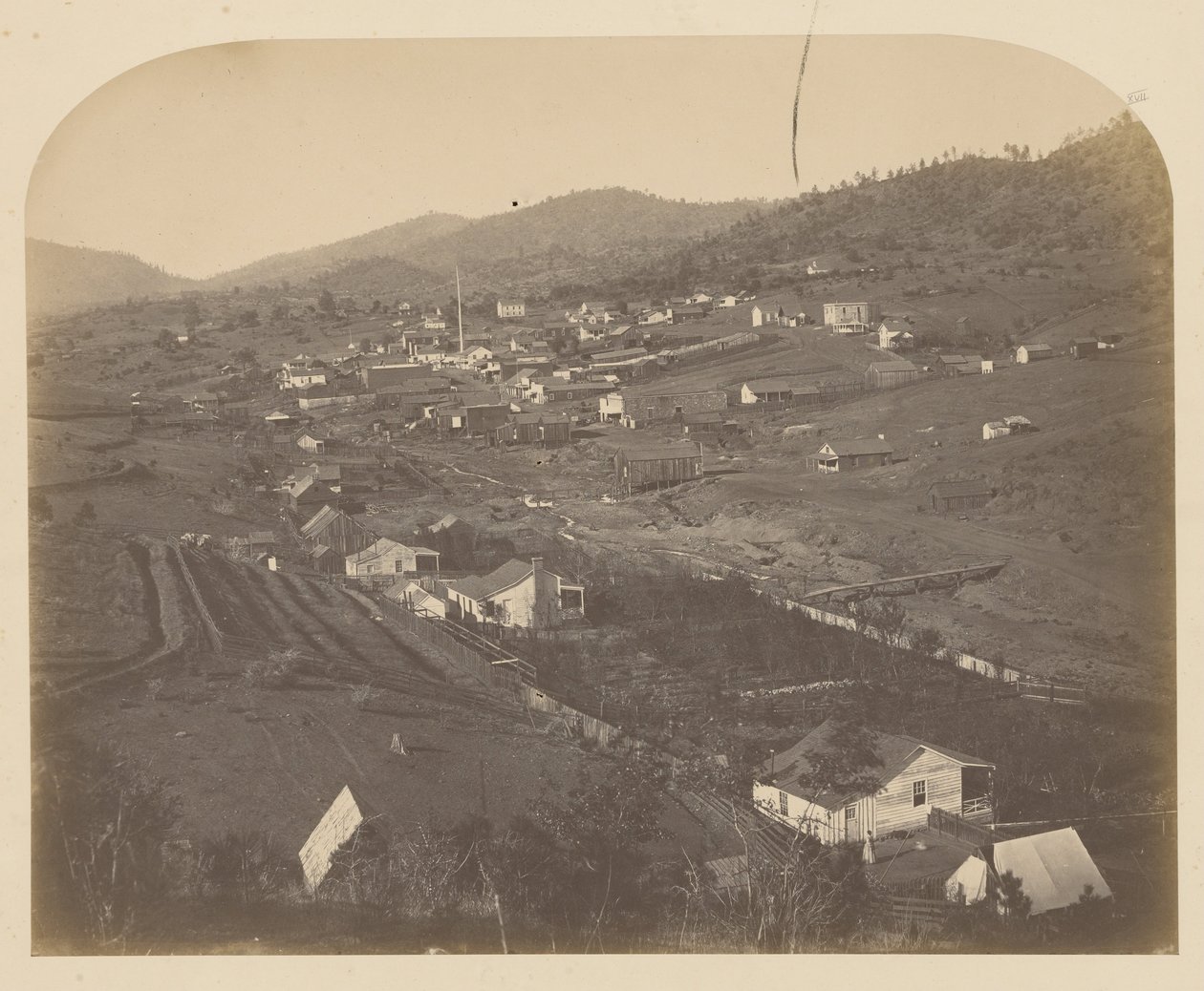 (Mariposa by Carleton E. Watkins