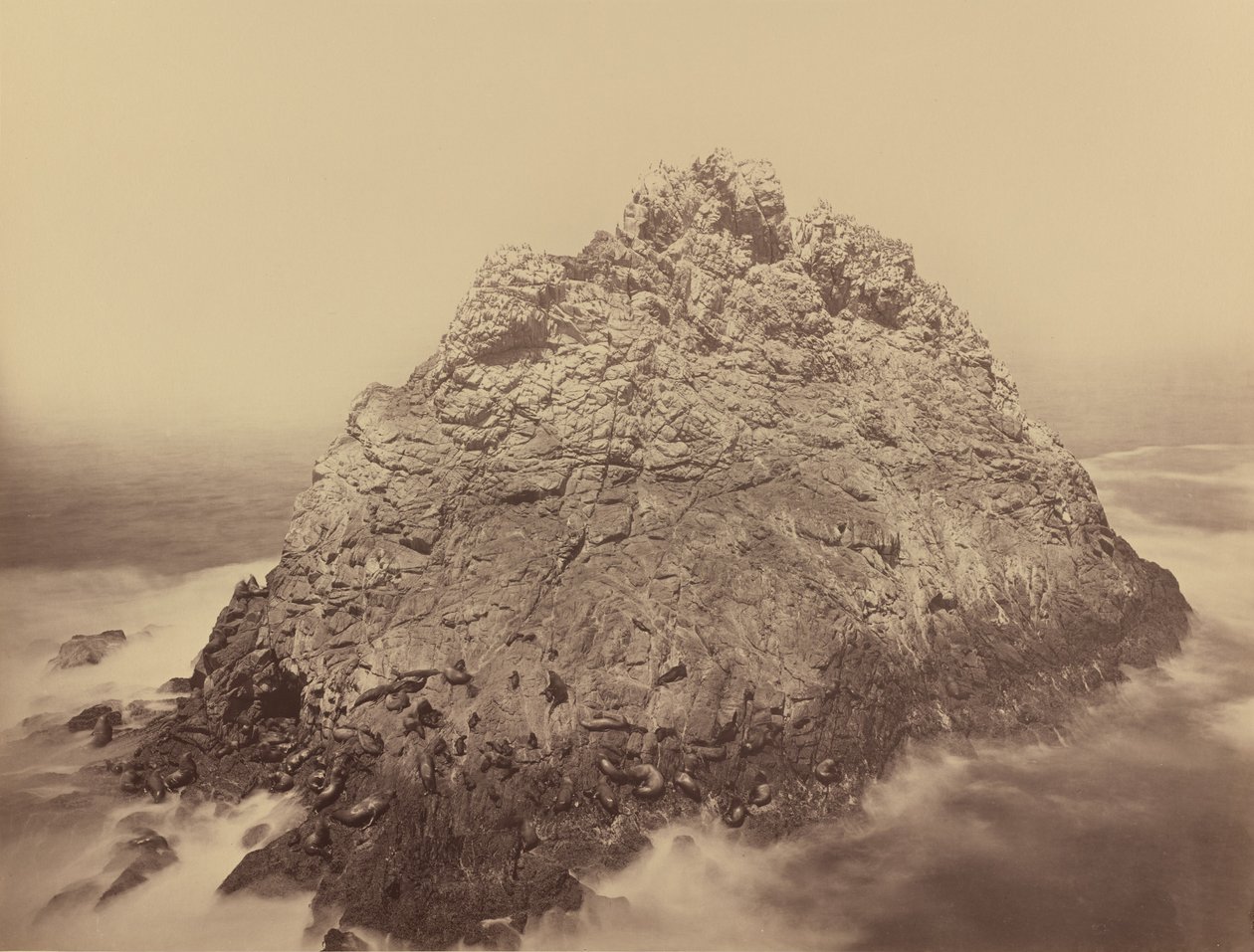 Sugar Loaf Adası, Farallons by Carleton E. Watkins